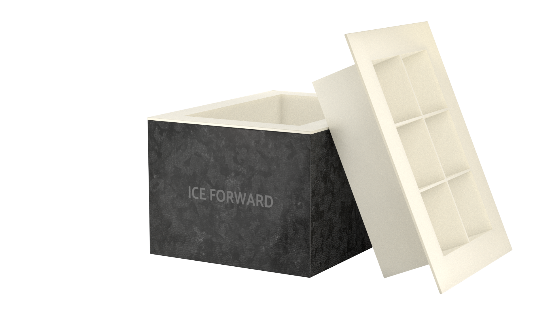 Clear Ice Box jääkuubikuvorm, 6 tk