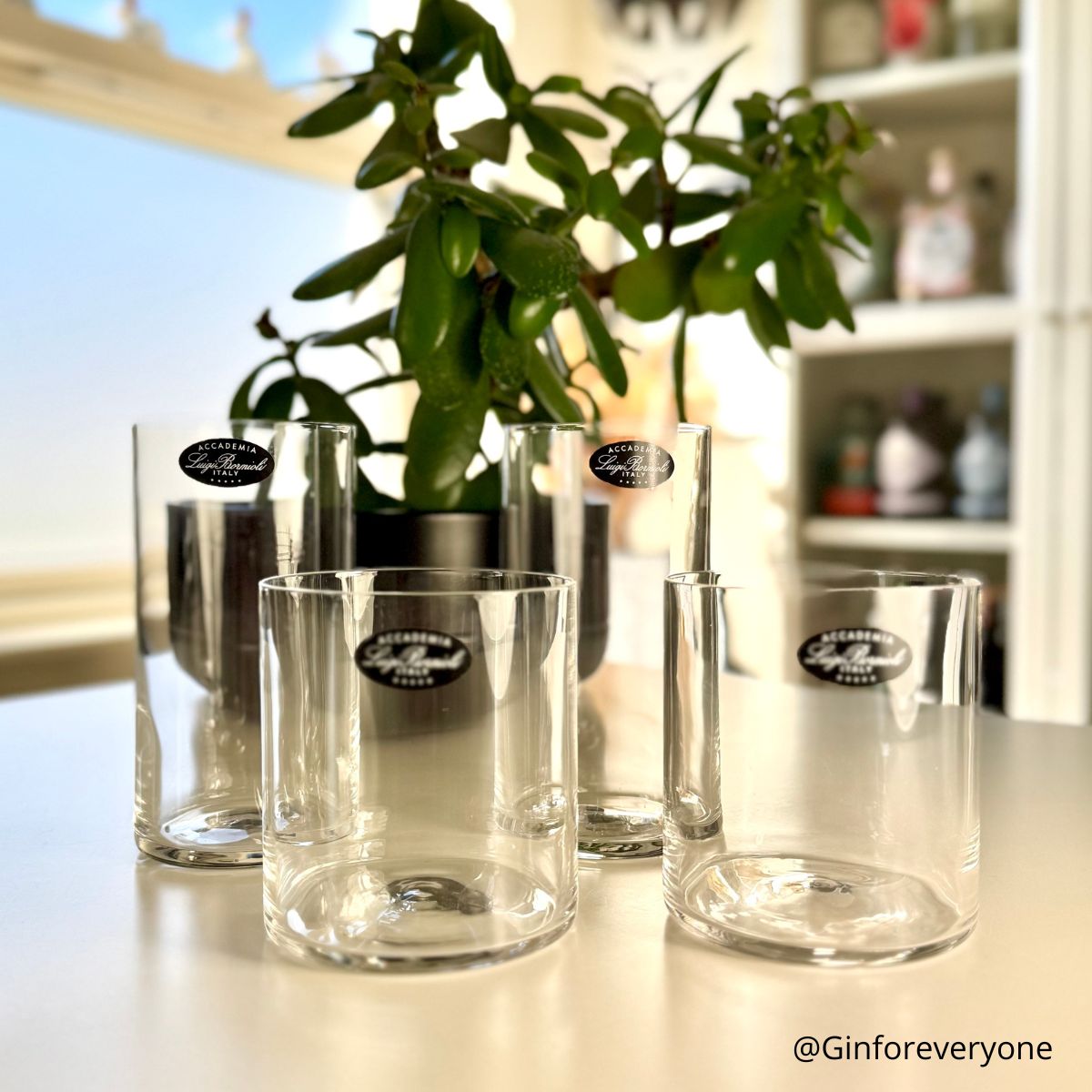 LB Top0 mlass tumblerid 365 ml, 6 tk